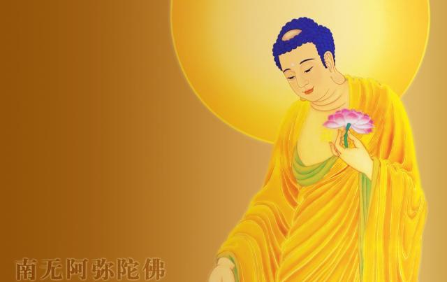 凈土宗網(wǎng)站建設(shè)(凈宗網(wǎng)中國凈宗網(wǎng)站)