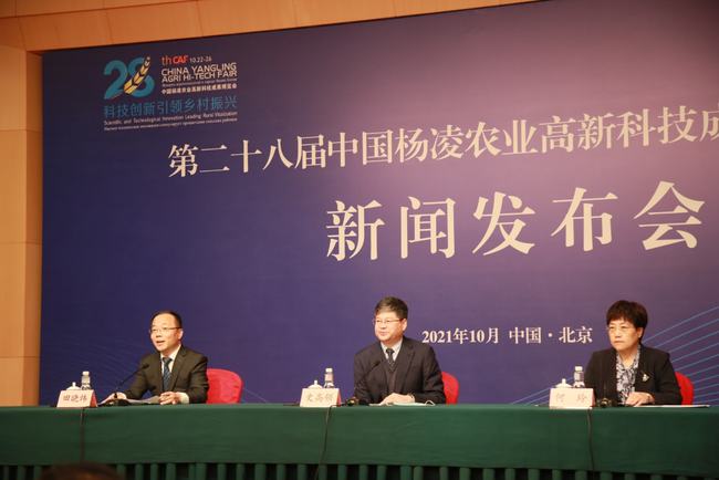 楊凌互聯(lián)網(wǎng)最新消息(楊凌互聯(lián)網(wǎng)最新消息公布)