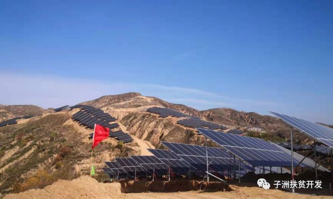 關于子洲專業網站建設的信息