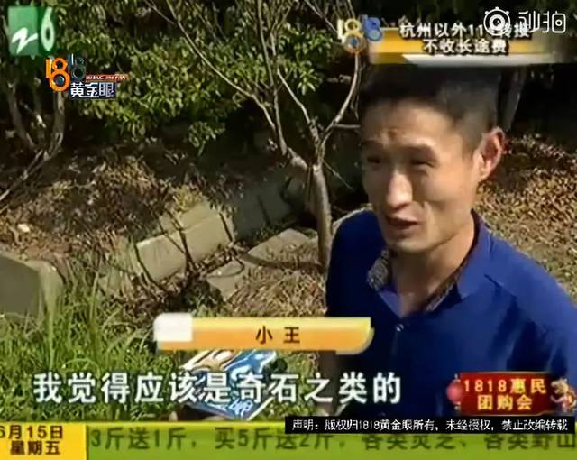 互聯網公司奇葩新聞(互聯網公司作惡)