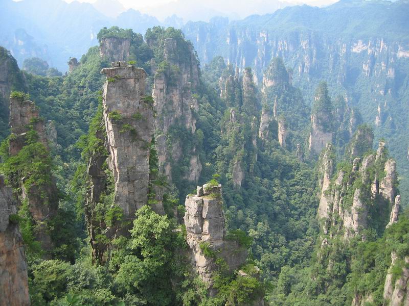 關(guān)于張家界網(wǎng)站建設(shè)的信息