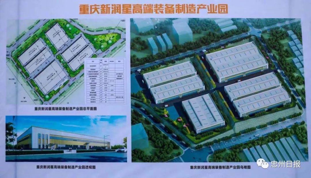 忠縣網(wǎng)站建設(shè)(忠縣建設(shè)委員會官網(wǎng))