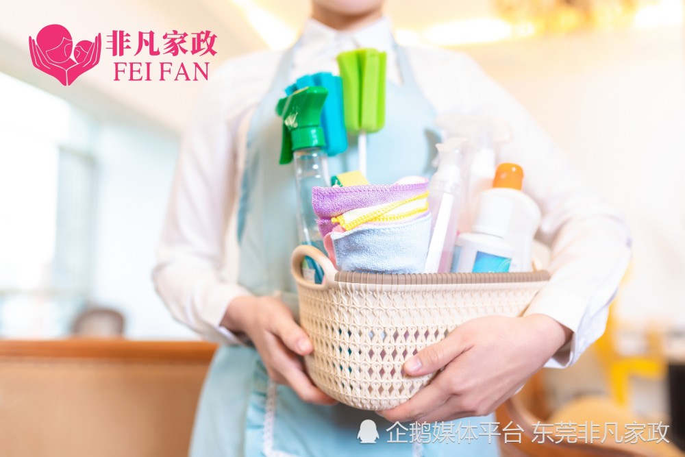 互聯網家政服務新聞稿件(互聯網家政服務新聞稿件模板)