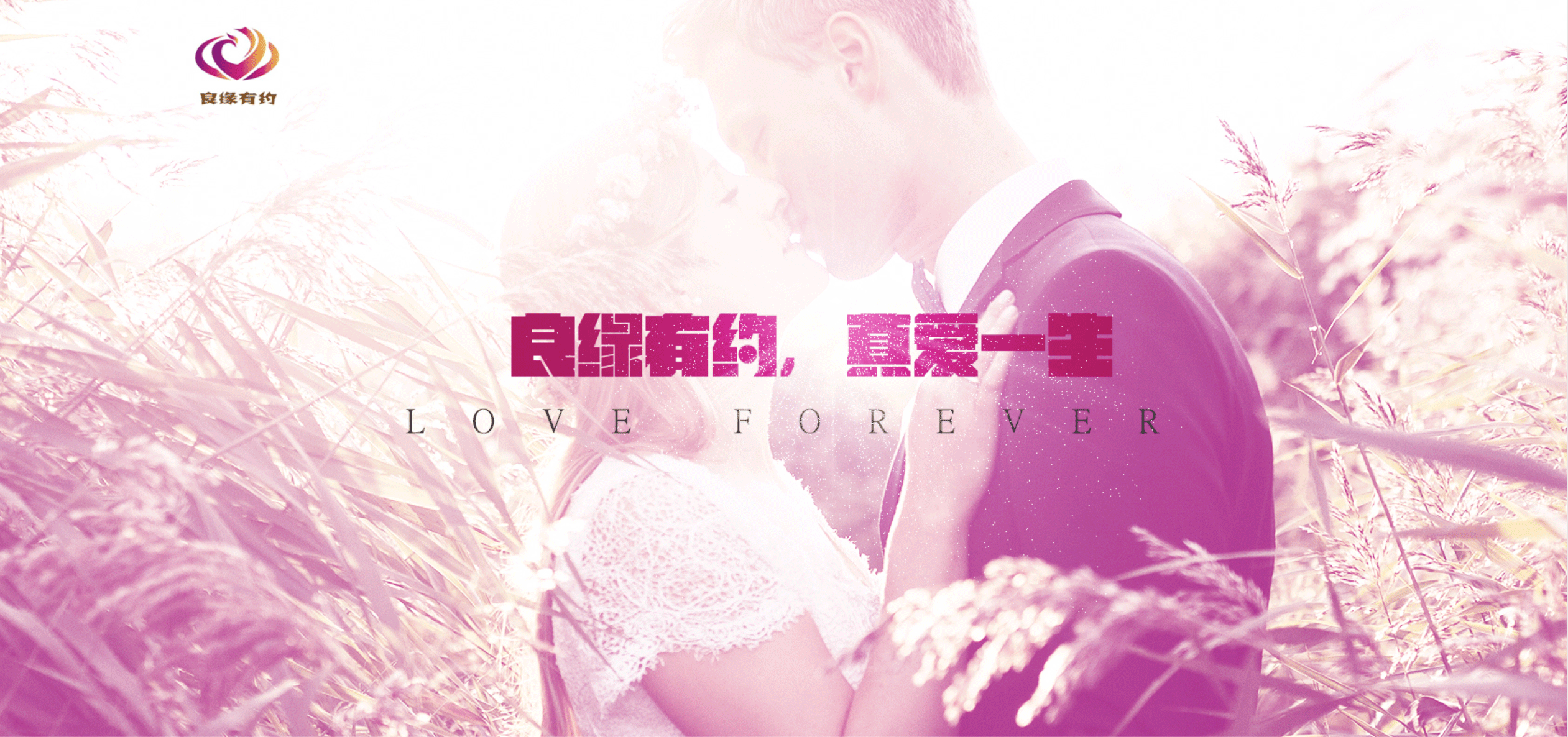 征婚網站建設(征婚網站哪個好)