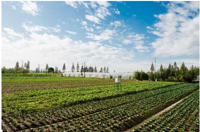 互聯(lián)網(wǎng)農(nóng)場新聞(互聯(lián)網(wǎng)現(xiàn)代化農(nóng)場案例)