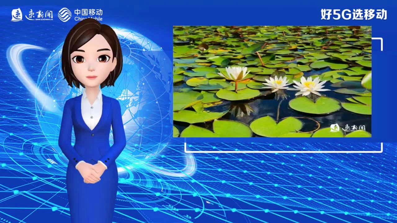 互聯網新聞轉語音播報(互聯網新聞轉語音播報是真的嗎)