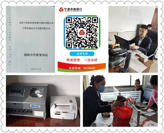 關于洛陽寧津網站建設的信息