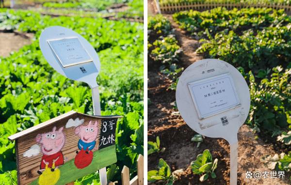 運城智慧農(nóng)場小程序開發(fā)(運城智慧農(nóng)場小程序開發(fā)方案)