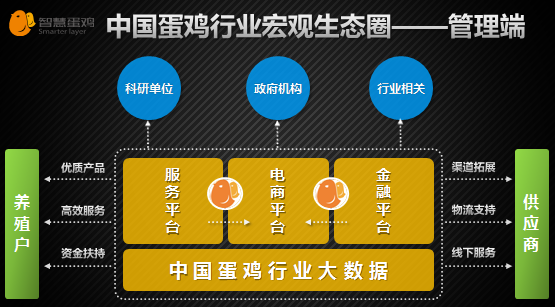 互聯(lián)網(wǎng)養(yǎng)雞新聞(網(wǎng)絡(luò)養(yǎng)雞投資是騙局嗎)