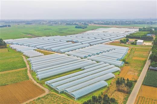 新聞晨報(bào)農(nóng)業(yè)互聯(lián)網(wǎng)(農(nóng)業(yè)新聞網(wǎng)微信公眾號(hào))