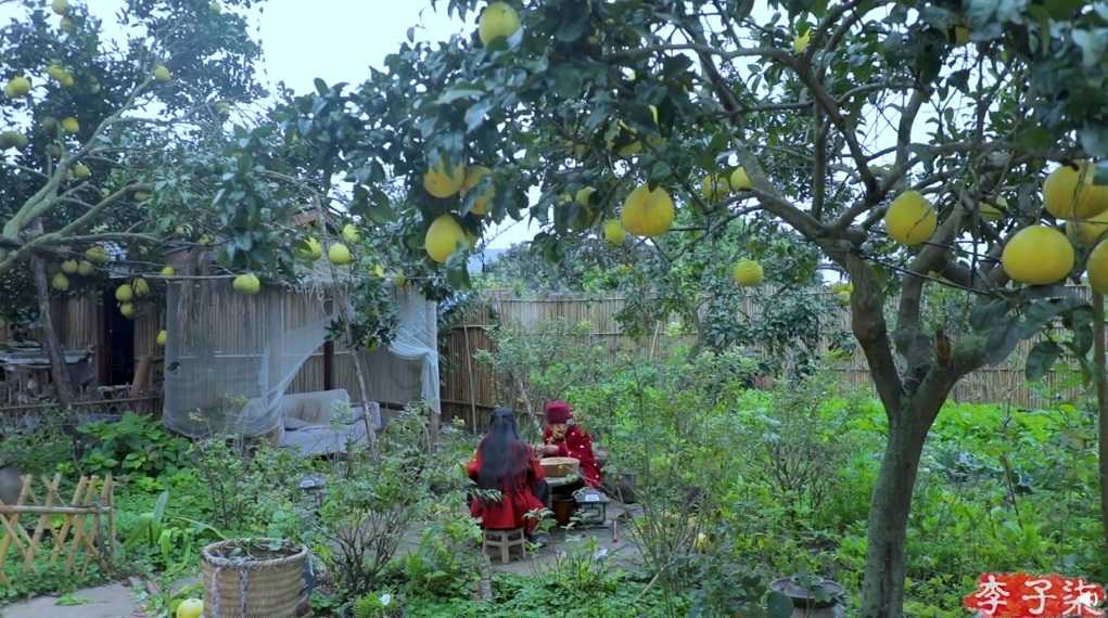 農家院互聯網新聞(農家院怎么宣傳有效)