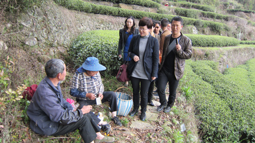 福鼎西陽(yáng)建設(shè)新聞網(wǎng)站(福鼎西陽(yáng)新村建設(shè)最新新聞)