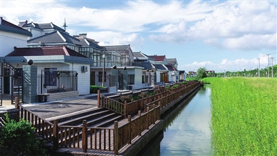 包含崇明網站建設的詞條