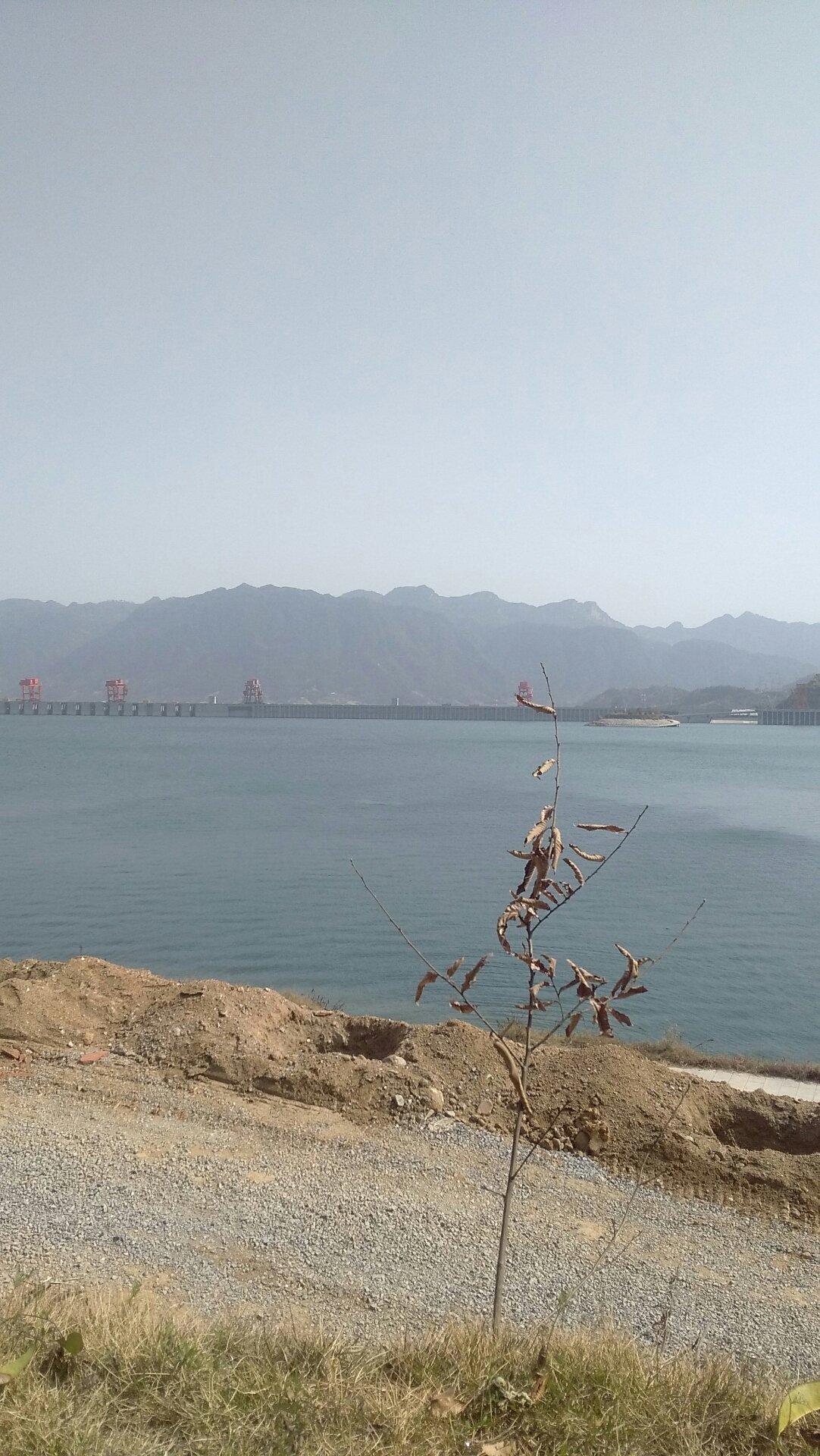 秭歸宜昌網站建設接單(秭歸 宜昌 招聘 同城)