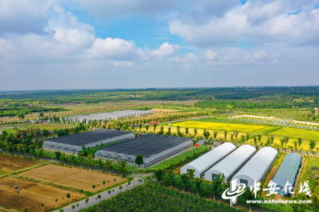 互聯(lián)網(wǎng)農(nóng)業(yè)示范區(qū)新聞(互聯(lián)網(wǎng)農(nóng)業(yè)科技有限公司)