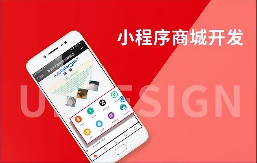 成都小程序的開發(fā)服務(成都小程序的開發(fā)服務商有哪些)