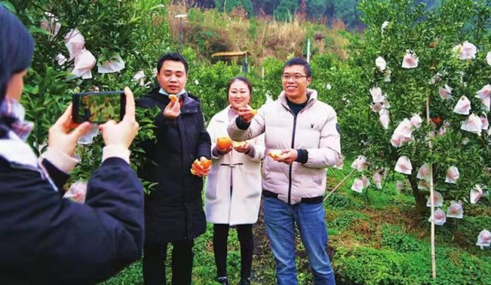 有關南充農業互聯網的新聞(有關南充農業互聯網的新聞有哪些)