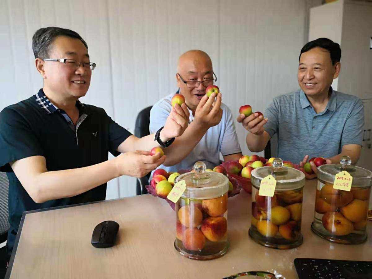 關于寧夏互聯網新聞中心米紅梅的信息