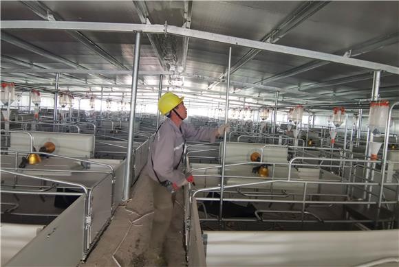 把豬場(chǎng)搬上互聯(lián)網(wǎng)的新聞(豬場(chǎng)是哪個(gè)互聯(lián)網(wǎng)公司的稱(chēng)呼)