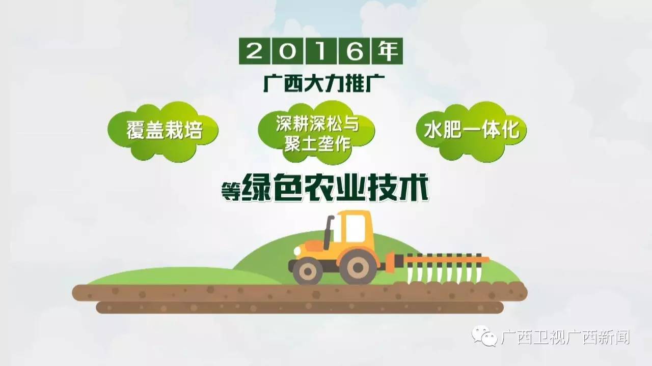 互聯網綠色農業新聞(互聯網+綠色農業策劃書)