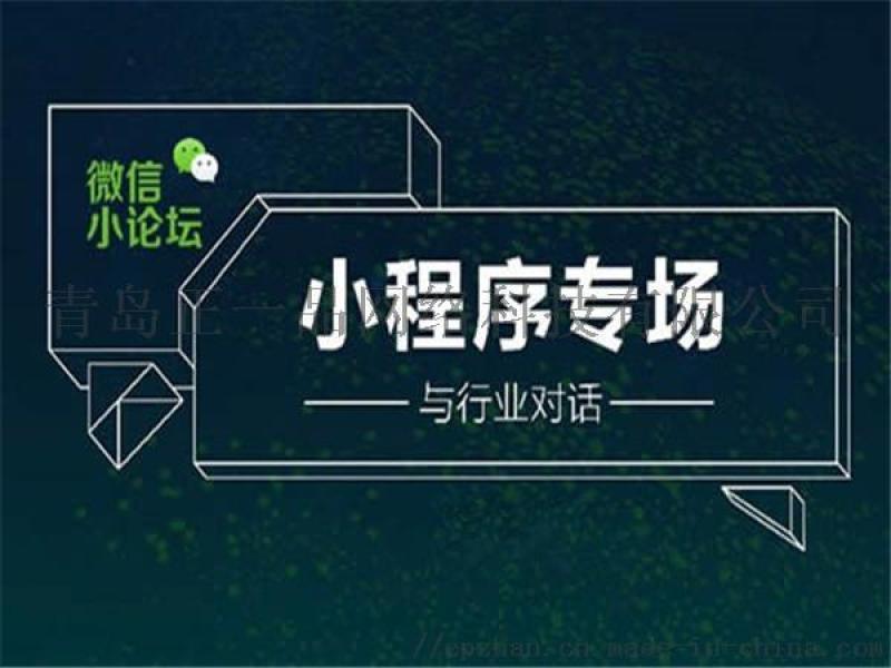 開(kāi)發(fā)設(shè)計(jì)小程序(專業(yè)小程序開(kāi)發(fā)公司設(shè)計(jì)方案)