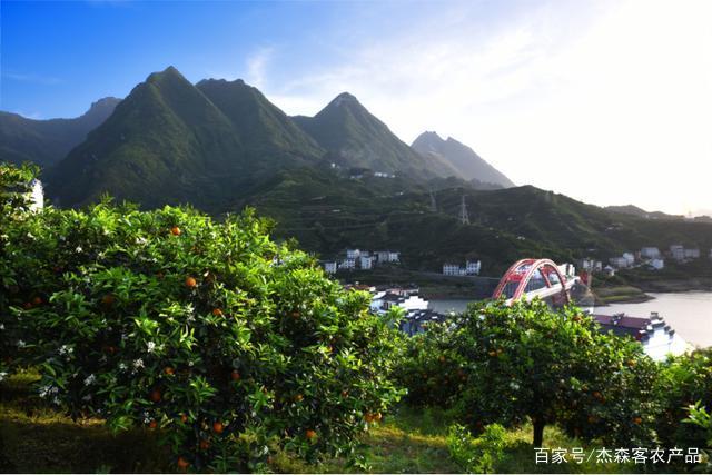 秭歸宜昌網站建設(秭歸政府門戶網公告)