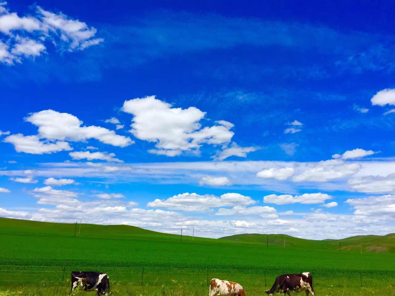 呼倫貝爾網站建設的簡單介紹