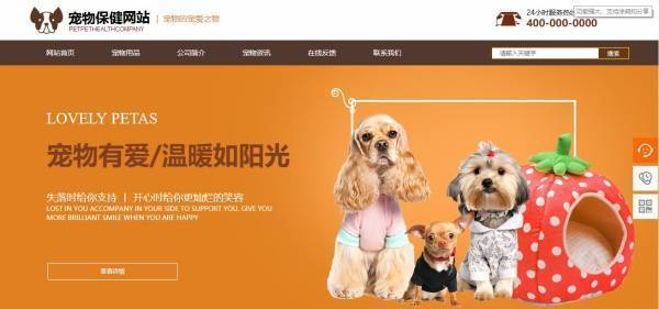 長沙網站的建設(長沙建設網站的公司)