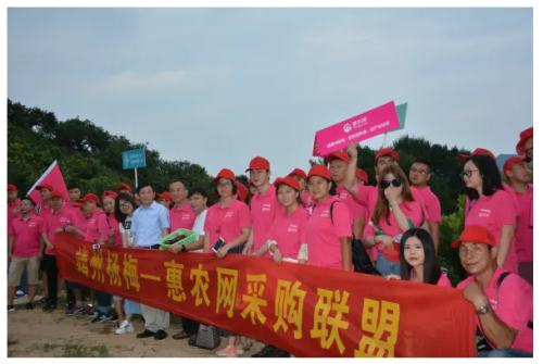 靖州電商新聞網(wǎng)站建設(shè)(靖州電子商務(wù)進農(nóng)村綜合示范)