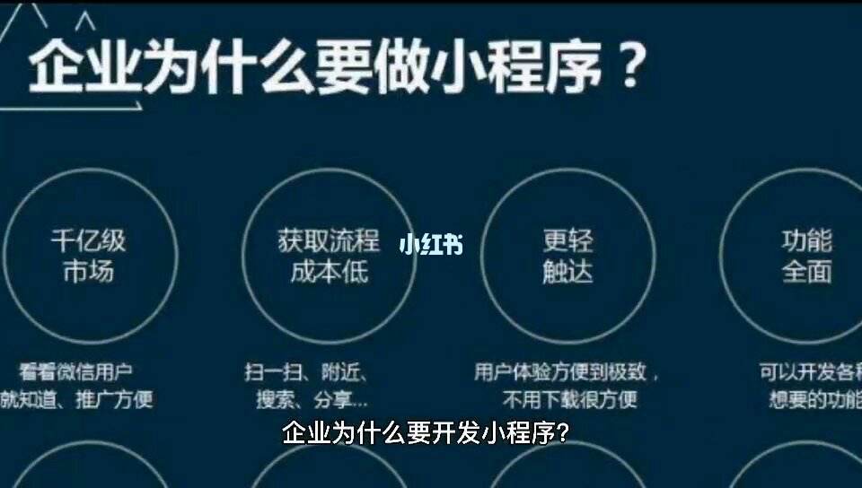 小程序怎么共同開發(fā)(小程序怎么共同開發(fā)出去)