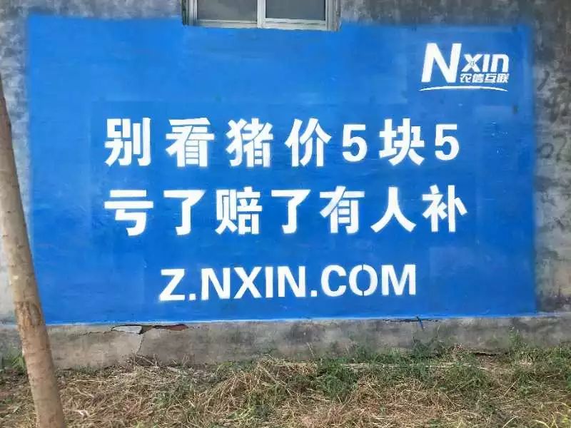 互聯網上養豬騙局揭秘新聞(互聯網上養豬騙局揭秘新聞是真的嗎)