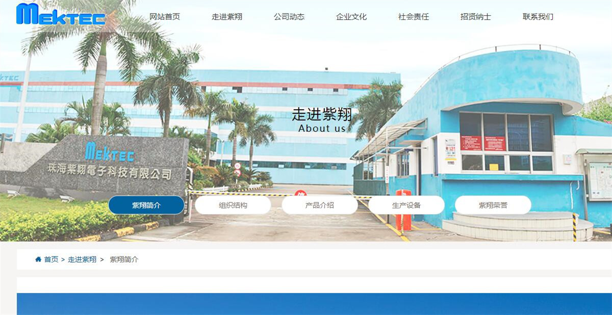 珠海網站建設開發(珠海網站建設開發公司)