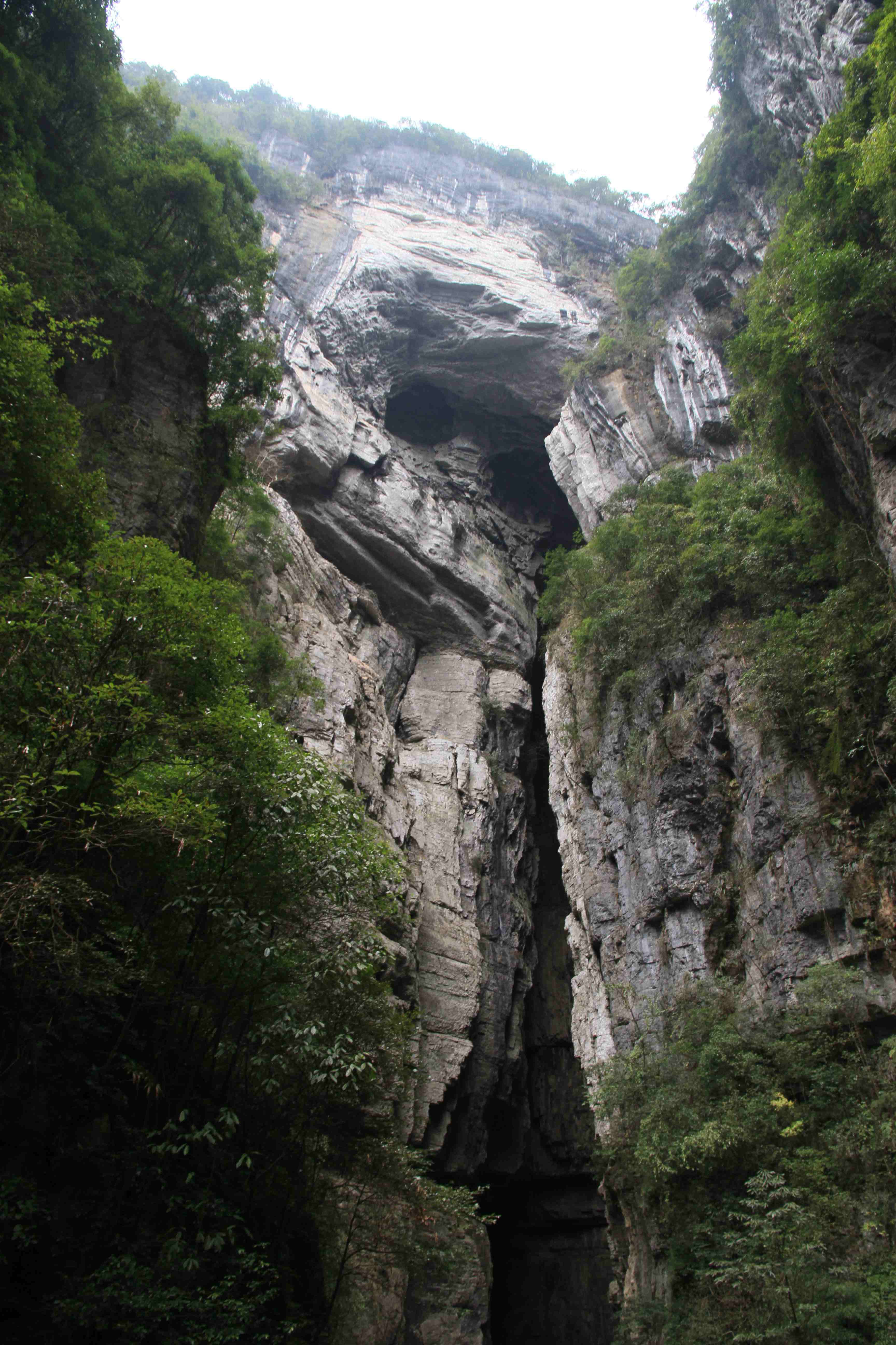 重慶武隆網站建設(重慶武隆建設投資集團)