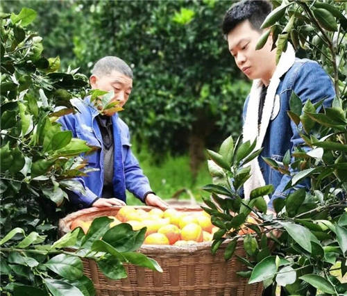 互聯(lián)網(wǎng)社會扶貧新聞稿(互聯(lián)網(wǎng)+扶貧宣傳稿范文)